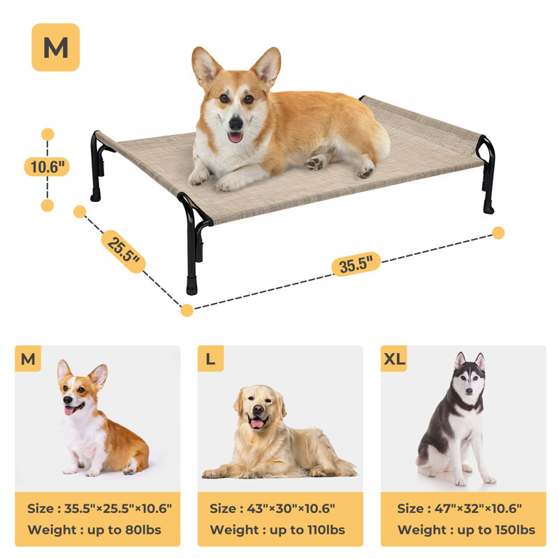 Tucker Murphy Pet™ Cooling Elevated Dog Bed, Outdoor Raised Dog Cots